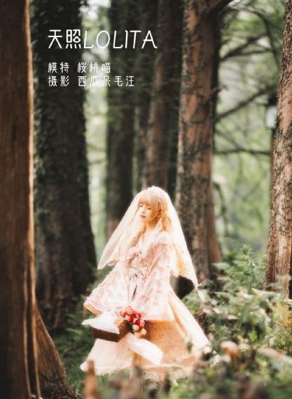 8090yy私人影院_蓝光高清迅雷在线观看